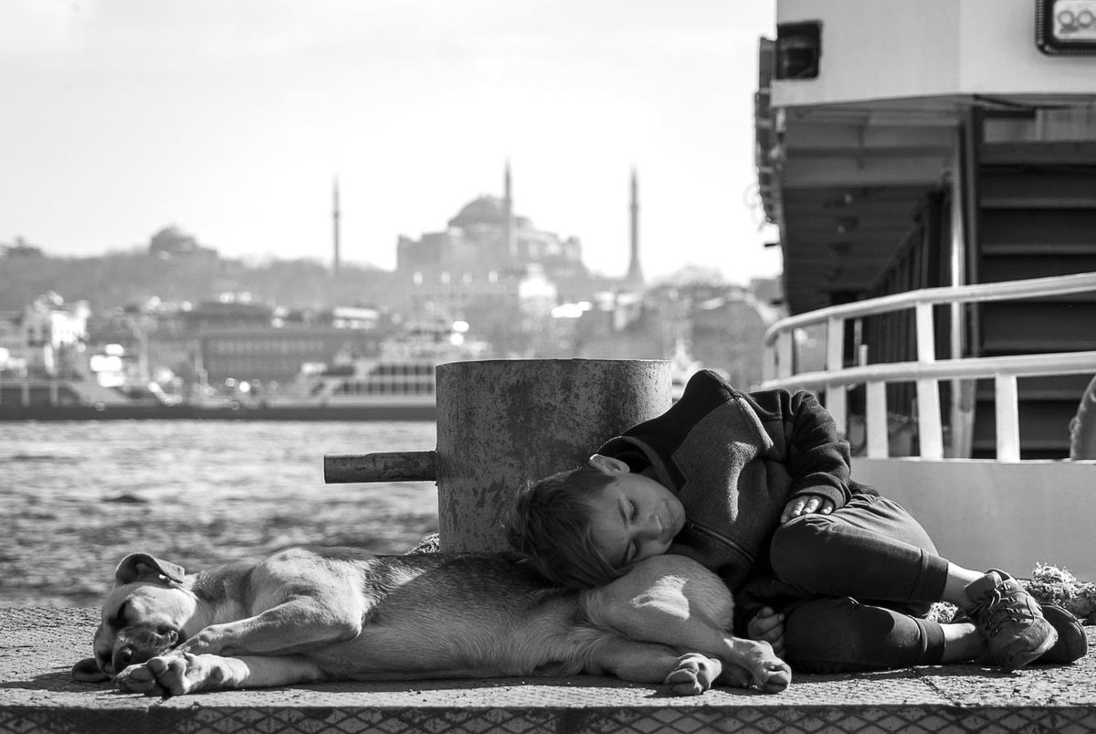 erdogan_uludag_'s tweet photo. Okyanuslar kadar büyük iki yürek... İki can... İki dost... Ve tabi ki büyük insanlığın küçük bir çocukla güneş gibi doğmasının fotoğrafı. Sevmek ne güzel şey. 
Foto: Abdülkadir Karataş
#çocuk #dost #can @uomdernegi @SevketApuhan #umudumolurmusun #umudumolurmusunderneği https://t.co/stVpv8UHd3