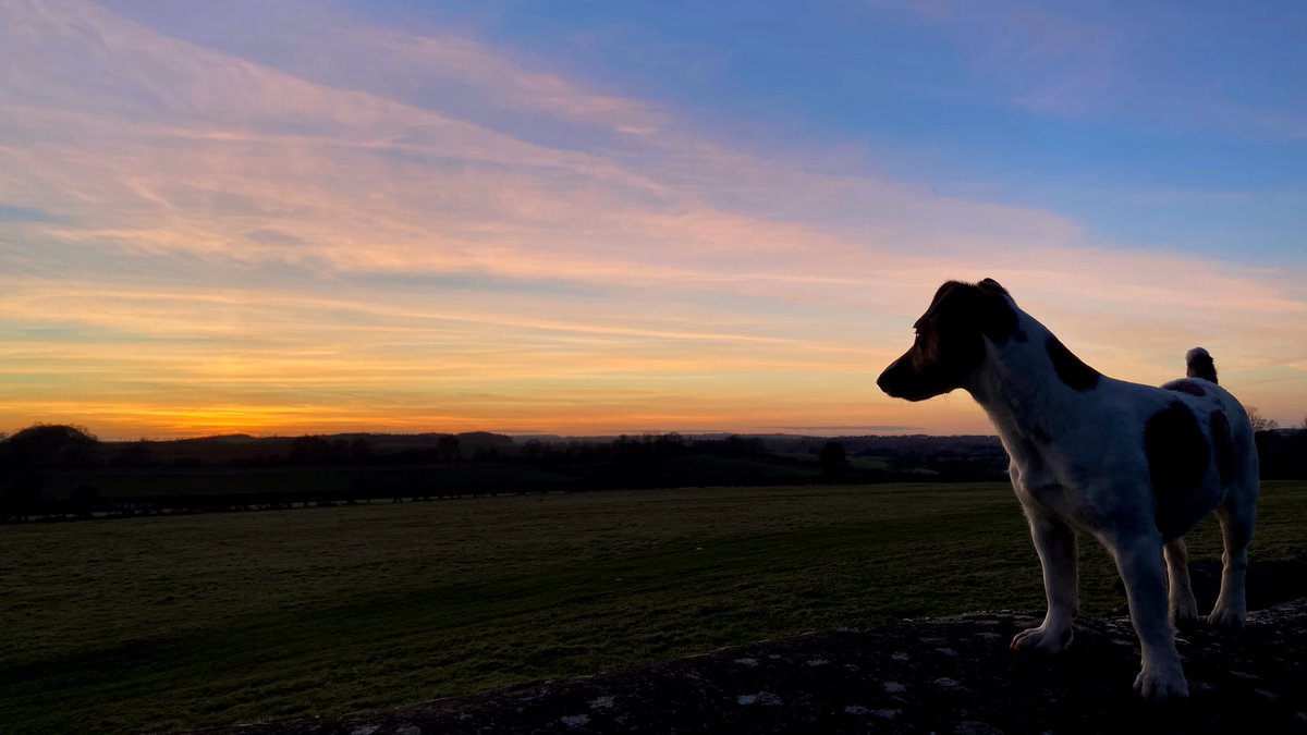 V_Binnie_Ryle's tweet photo. As the famous quote out of one of my favourite films goes: 

“Life moves pretty fast. If you don't stop and look around once in a while, you could miss it.” 

#FerrisBuellersDayOff
#SpringIsInTheAir 🌅 https://t.co/AdmH2thZAU