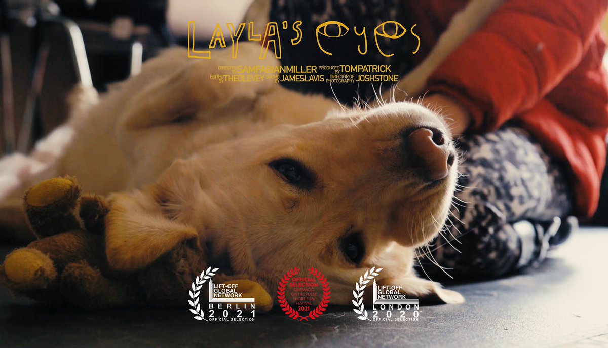 Super proud that a documentary I produced has made it’s way from film festivals in London to Berlin, and now off to Ireland too!