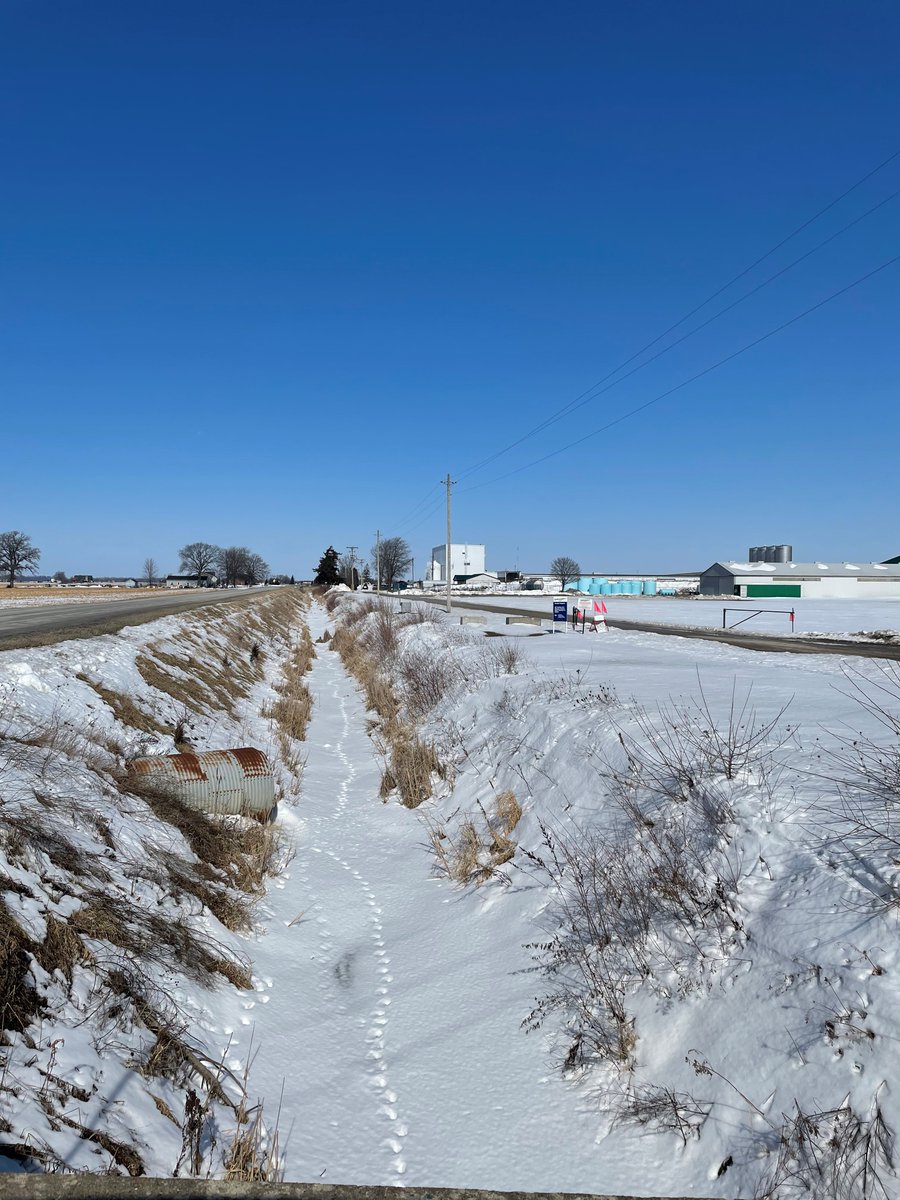 EssexRegionConserve tweet media