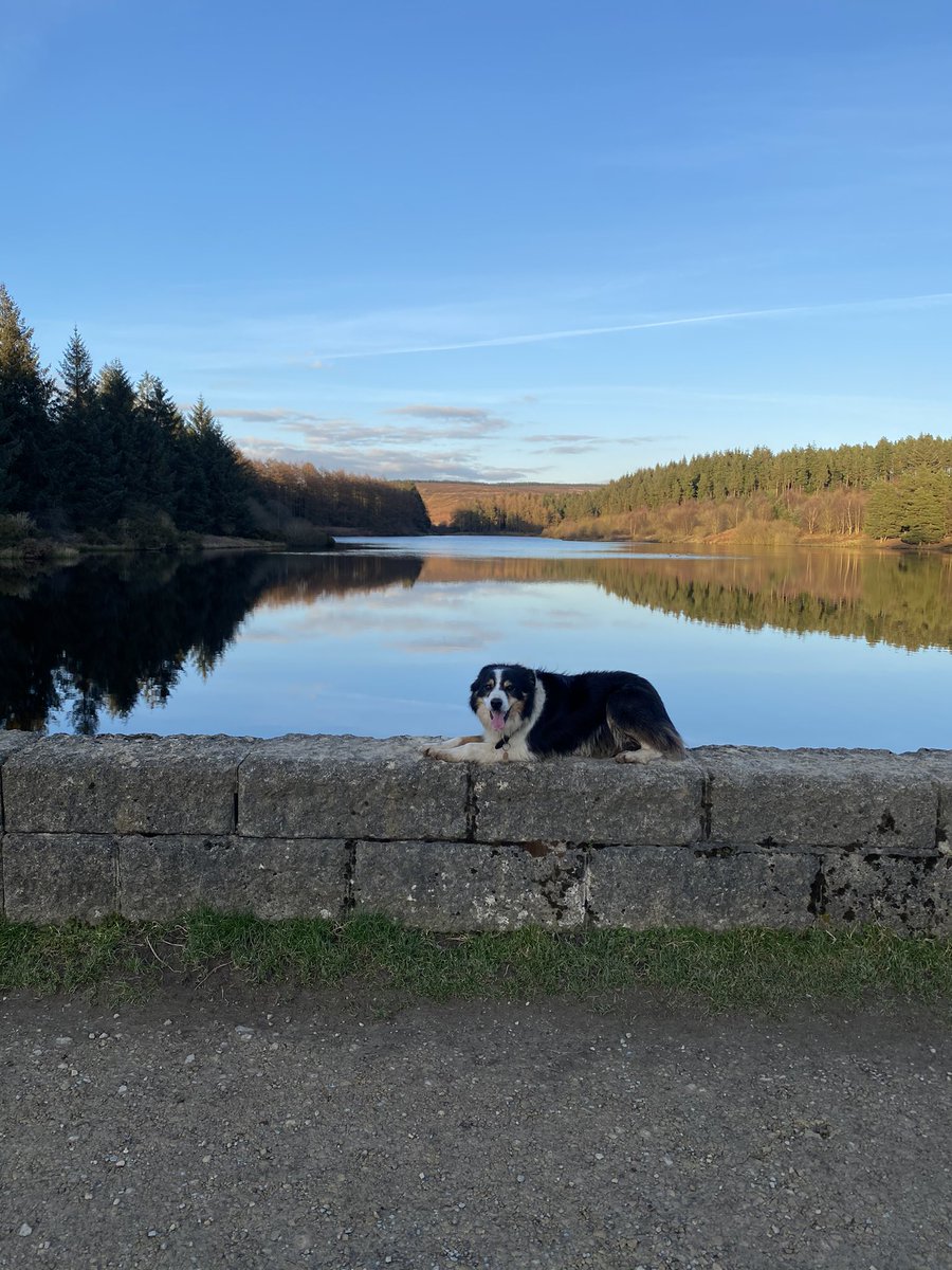 GemmaTutty's tweet image. What a stunning evening 🥰🏃🏽‍♀️☀️ #runningbud #lockdownviews