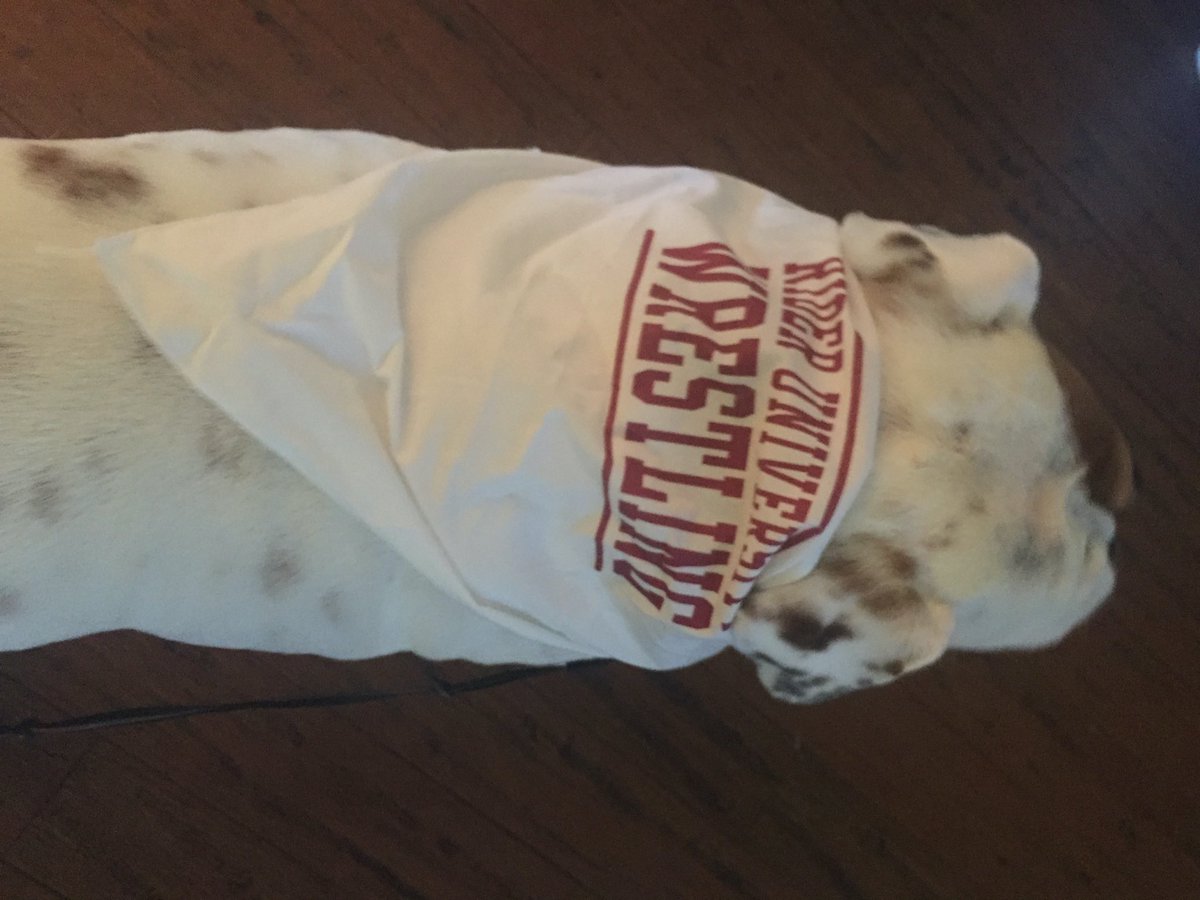 Buttercup supporting the team....Go Rider Wrestling! Go Matthew! #wrestling