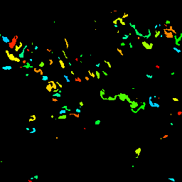 umdfire's tweet photo. Last semester students in the #UMDFIRE Cloud Computing stream were able to use watershed image segmentation to identify and label convective updrafts in horizontal cross-sections of weather model output! #FIRECC #UndergraduateResearch https://t.co/6sudntsAn8