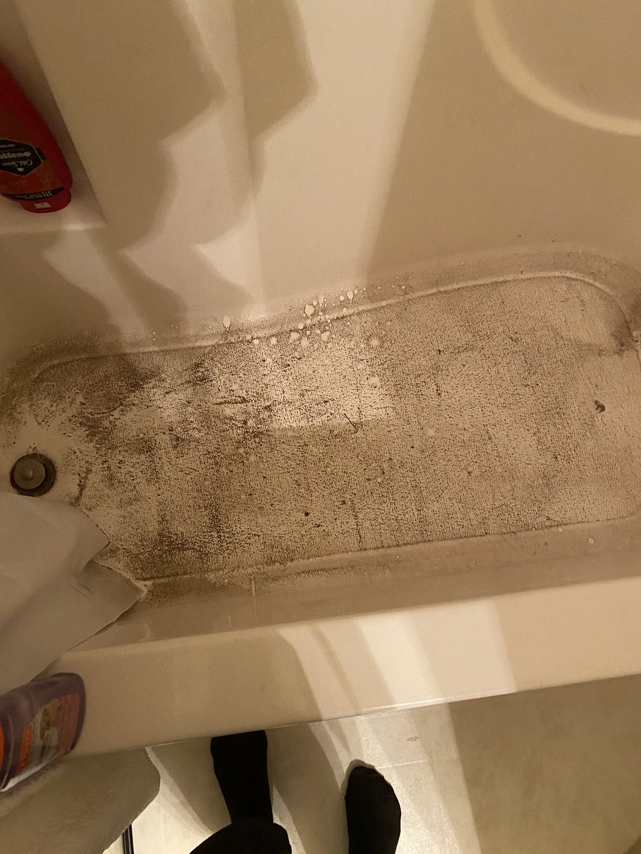 _steffenn's tweet photo. I can’t keep giving this dog a bath every single night https://t.co/UT6iqd5JNw