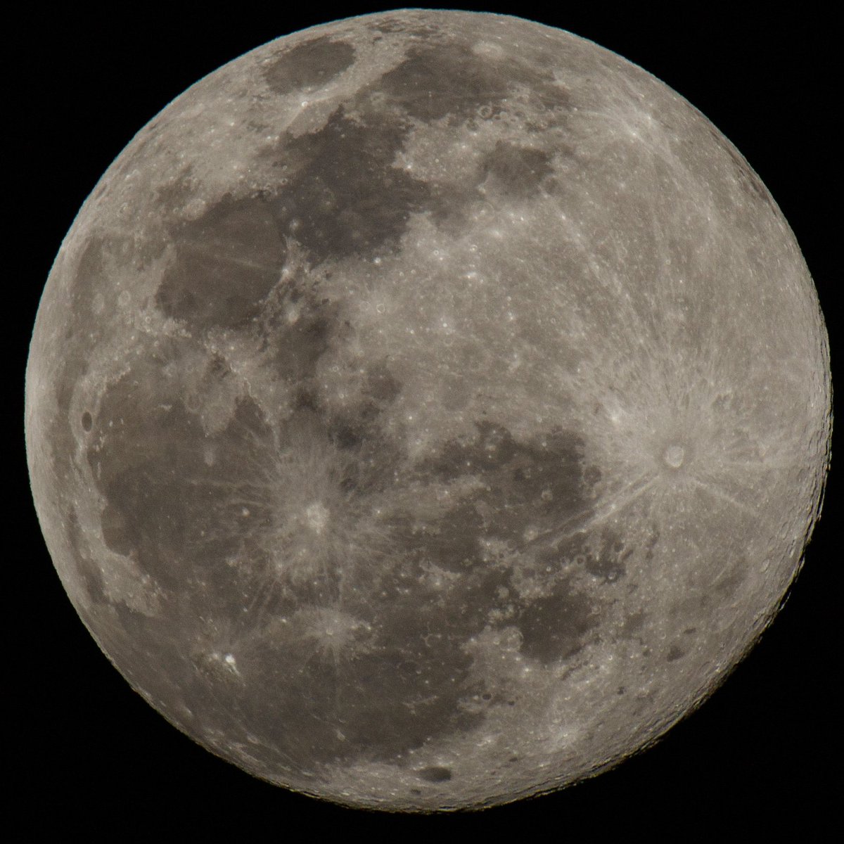 DPvanLoo's tweet image. #moon #maan #fullmoon ISO 250 / F14 / 1/250s 1200mm #moonphoto #photography #enjoyyourweekend #weekend #weekendvibes #haveaniceweekend