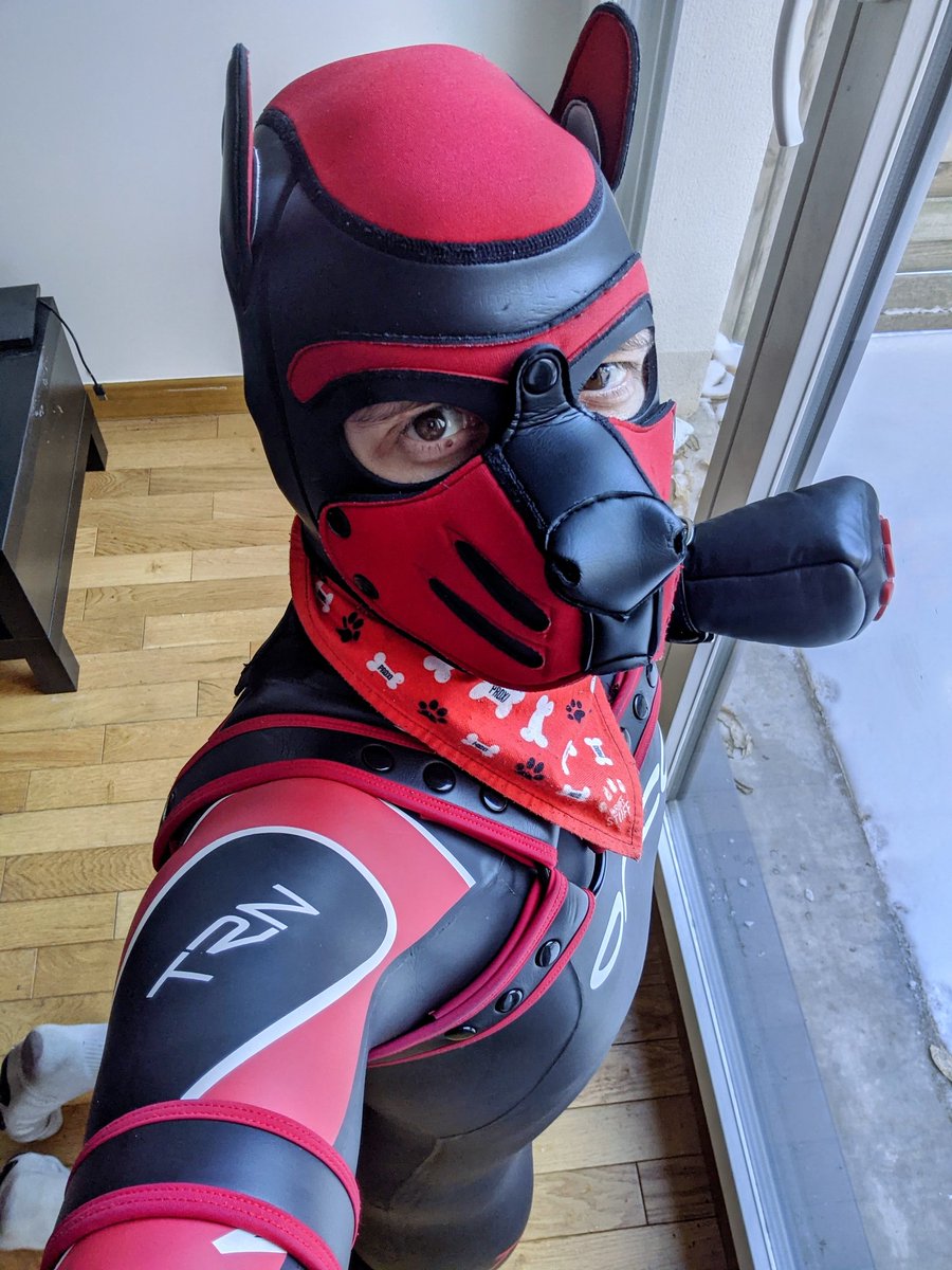 Wruff I want playing in the snow with pup friends ☃️❄️🐶🐾