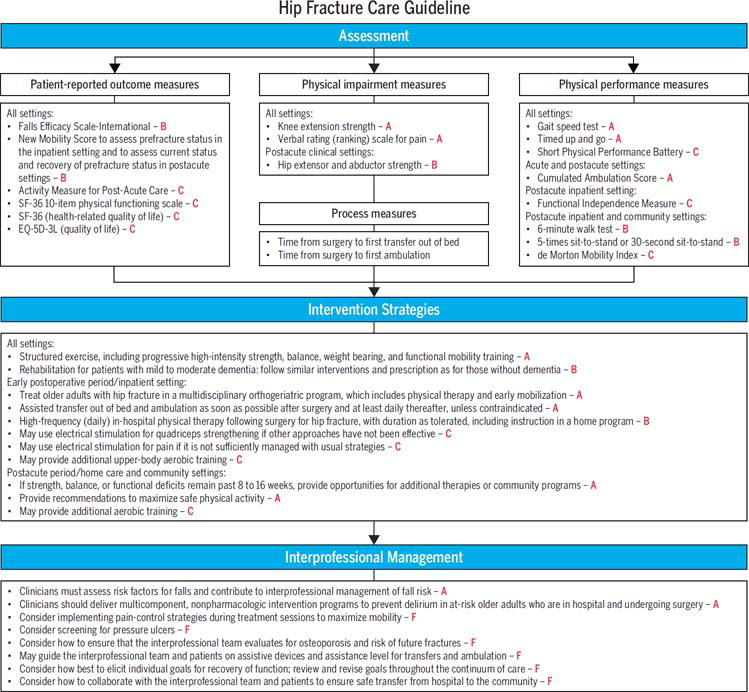 JOSPT's tweet photo. @JOSPT had multiple open access articles this month, including the #CPG on physio management of hip fractures and its associated #PerspectivesForPractice
Take full advantage below π
CPG - https://t.co/laNn0QQqRh
P4P - https://t.co/b6Uy2DILIh
#yourJOSPT #WeekendReading https://t.co/tqgqzbMRr4