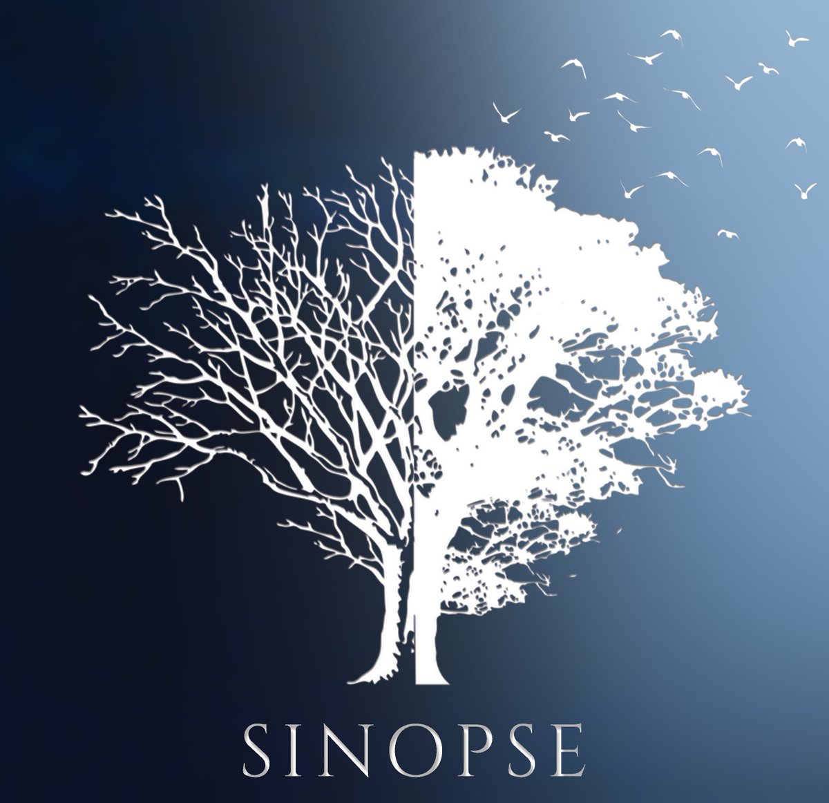 sinopse // SINOPSE