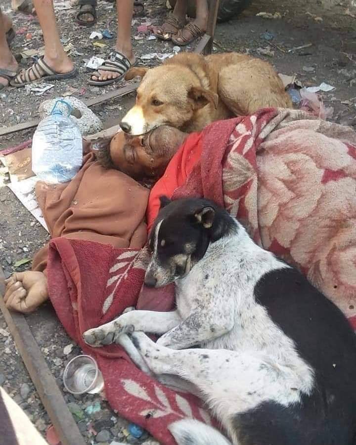 عندما حل الشتاء
ادرك الشعب هنا 
حجم البلاء
اصبح الجوع 
فراش الشعب
والخوف رداء
سطوة الاعداء اهون
من جحود العملاء
وطني عانا
ومازال يعاني
من عصابات البغاء
وجنون الأشقياء
يشتكي الشعب 
انتشار الفقر
الى رب السماء
#مقاطعة_المنتجات_الفرنسية122
القصيدة كاملة هنا👇
facebook.com/10001377250152…