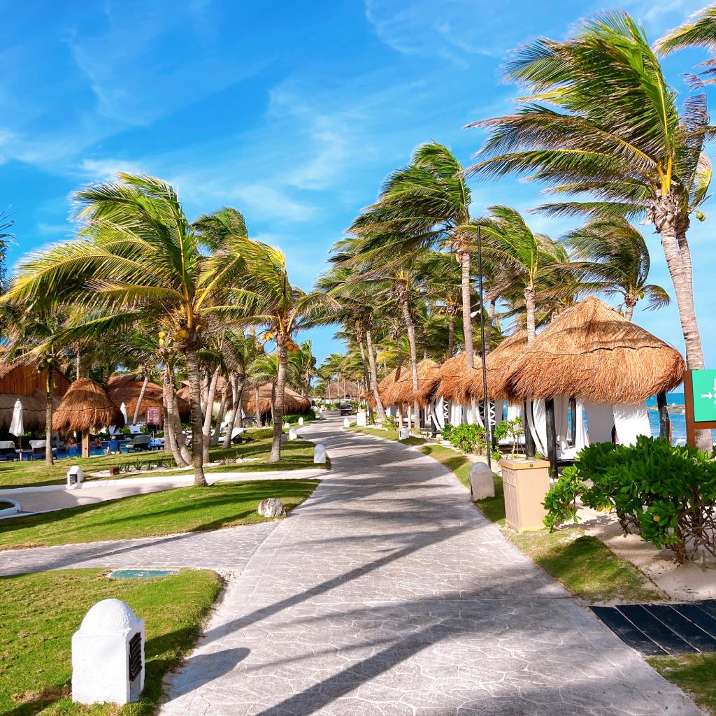 One of our Top 3 favourite things to do at Casitas is taking long walks along the beach 🌴🏖🚶‍♀️
What is your Top 3 Favourite things to do at Casitas?