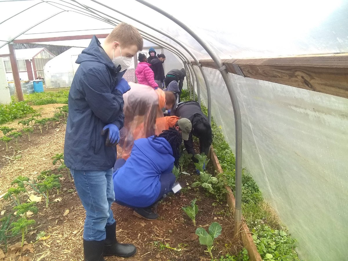 APSTransition's tweet photo. APS Transition is working hard at @TrulyLivingWell Collegetown Farm!! Pulling weeds to prep beds to spring planting. Urban farmers in training 🌱🌿☘ @CarolynCharris @emmaundia @KLovettDSE https://t.co/lRPnv4CuiZ
