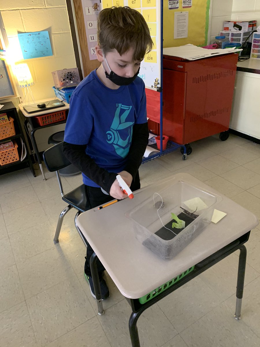 3rdwithsnyder's tweet photo. Our 3rd graders are excited test their Roly Poly Hotel next week! @BCSDBEES @EZiegler08 @SmithsonianScie https://t.co/bcnmm5NdGS