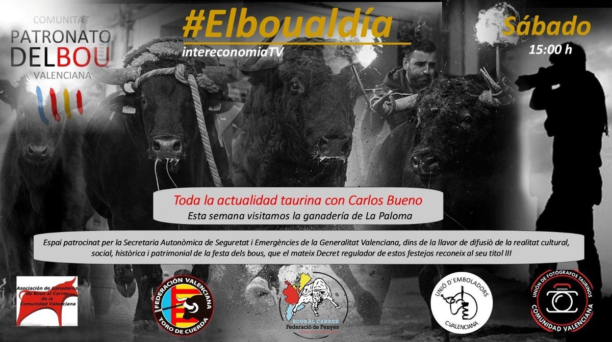 bou_cv's tweet photo. ⭕Mañana sábado 📺 nuevo reportaje de #El Bou al Día, con el periodista Carlos Bueno.
 
👉 No te pierdas la entrevista a nuestro protagonista Bartolo Sirerol de la Ganaderia La Paloma, una de las ganaderias mas representativas del panorama taurino valenciano.
#Elboualdia https://t.co/YIgOXzgH8g