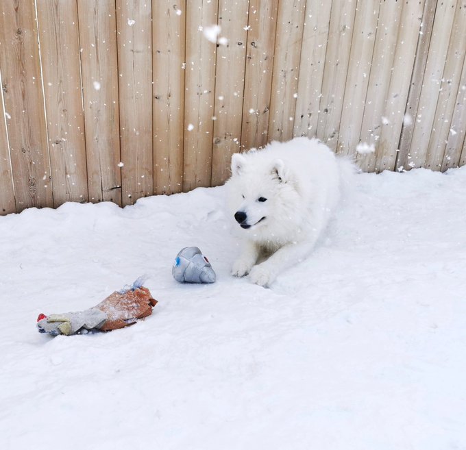 Watch Alinity's leaked NSFW photo on TwXstars