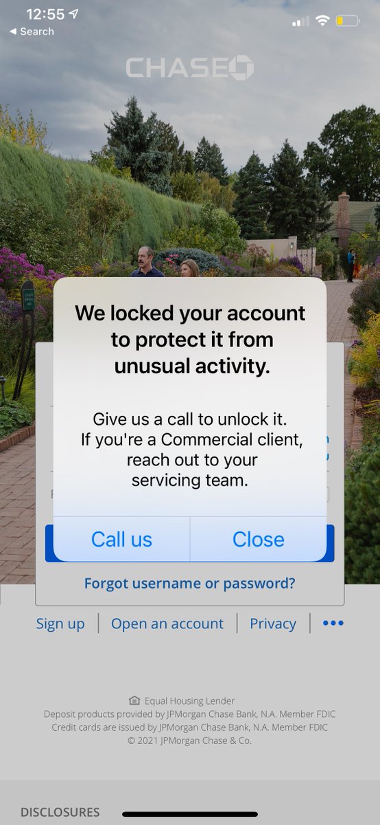 Ingrid ✨ tweet media