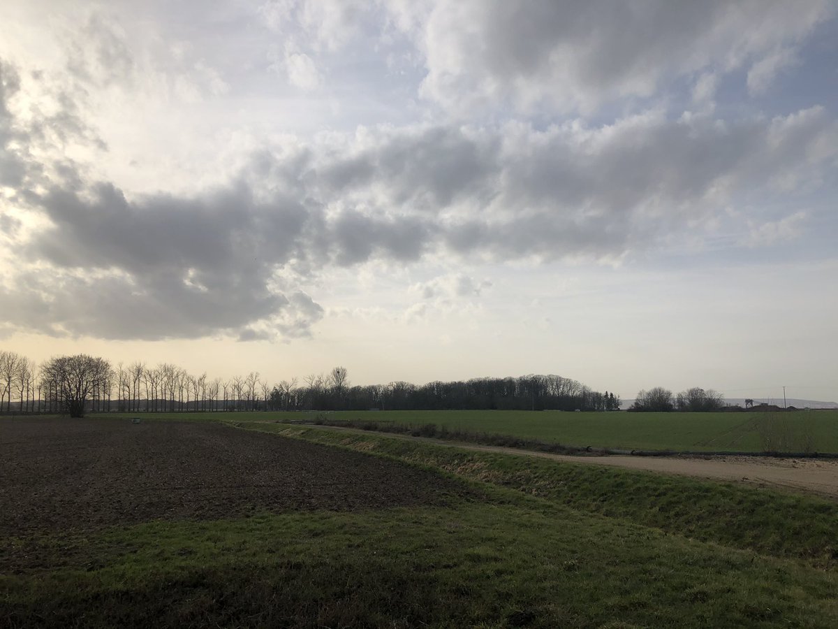 antjegrothus's tweet photo. Baumallee u wichtige Grün-u Waldstrukturen zwischen @hambibleibt u #Steinheide am früheren #HausBochheim sind auch von #RWE Abgrabungen #ManheimerBucht betroffen.
Zerstörung bitte unbedingt verhindern
@a_pinkwart
@HeinenUlla
@rek_landrat
#Strukturwandel #SDGs #Nachhaltigkeit https://t.co/H0HcXosMmd