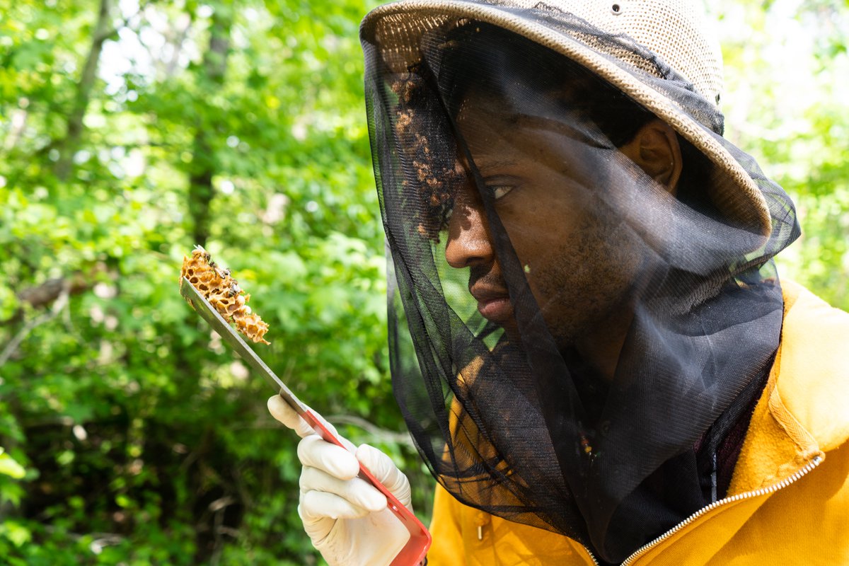drsammytweets's tweet image. As an underrepresented minority and #ScienceCommunicator in #STEM, my goal is to see a day when people are no longer shocked to see someone who looks like me as the presenter at their entomology conference.
I&apos;m just a #BlackInEnto trying to #BlackenEnto. #WishMeLuck