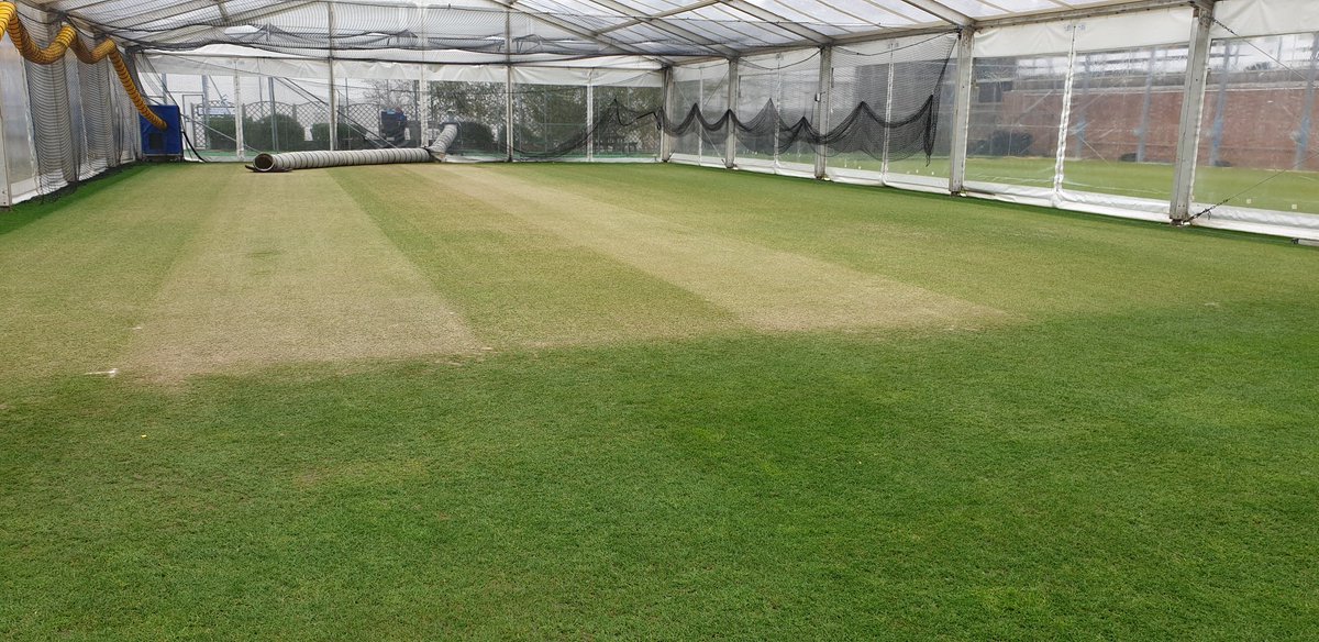 ChrisGeere1's tweet photo. Nets under marquee coming along nicely and should be ready for first use on Monday.  Square ready for heavy roller tomorrow. With @Bengibs0n https://t.co/l6EEz7L4MD
