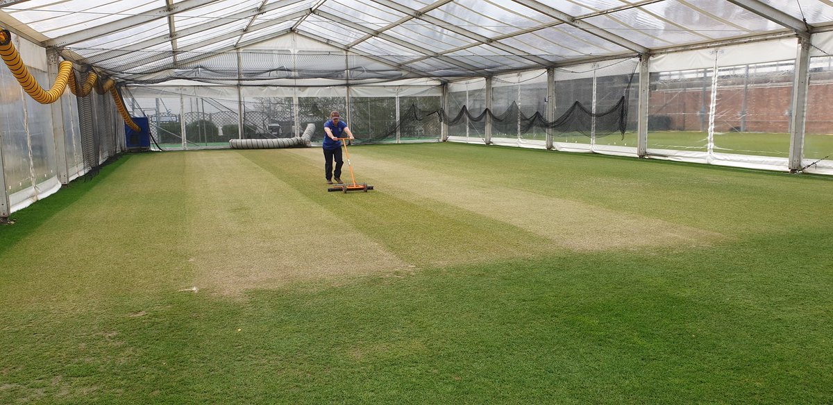 ChrisGeere1's tweet photo. Nets under marquee coming along nicely and should be ready for first use on Monday.  Square ready for heavy roller tomorrow. With @Bengibs0n https://t.co/l6EEz7L4MD