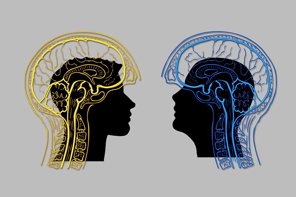 imamediation's tweet photo. The fight, flight, or freeze response is a hormonal and physiological process triggered by the amygdala, part of our limbic system.
https://t.co/cRK1RR3UMa
#conflictresolution #disputeresolution #conflictmanagement #adr #resolveconflicts #ombuds #ombudsman #ombudsing https://t.co/EH1l1gwfEg