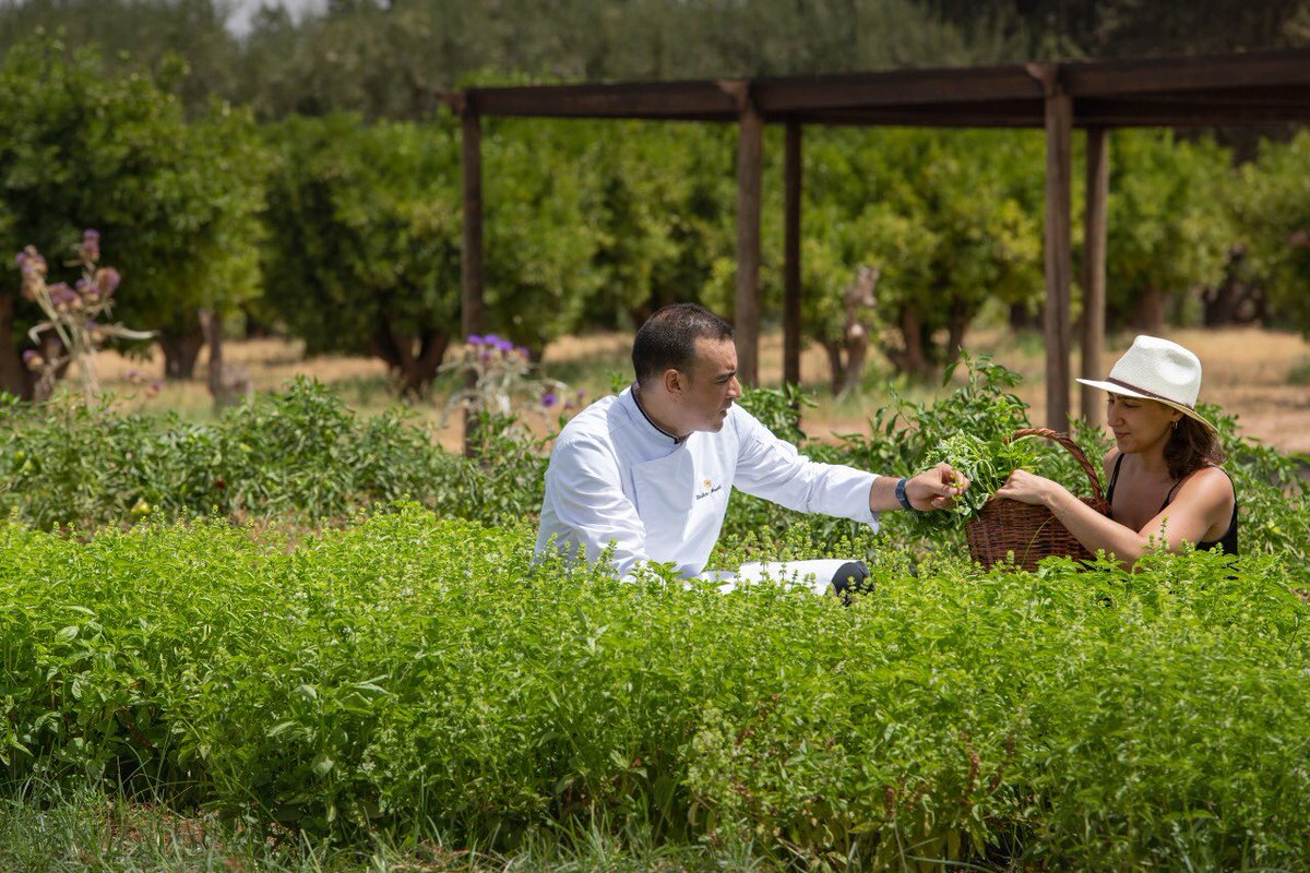 A Better Plate 🍴

Our exquisite dishes are created by our culinary team and our nutrition &amp; wellness consultant, to serve you a balanced, nutritious and naturally delicious menu. #Health #Wellbeing #HealthyFood #luxurylifestyle