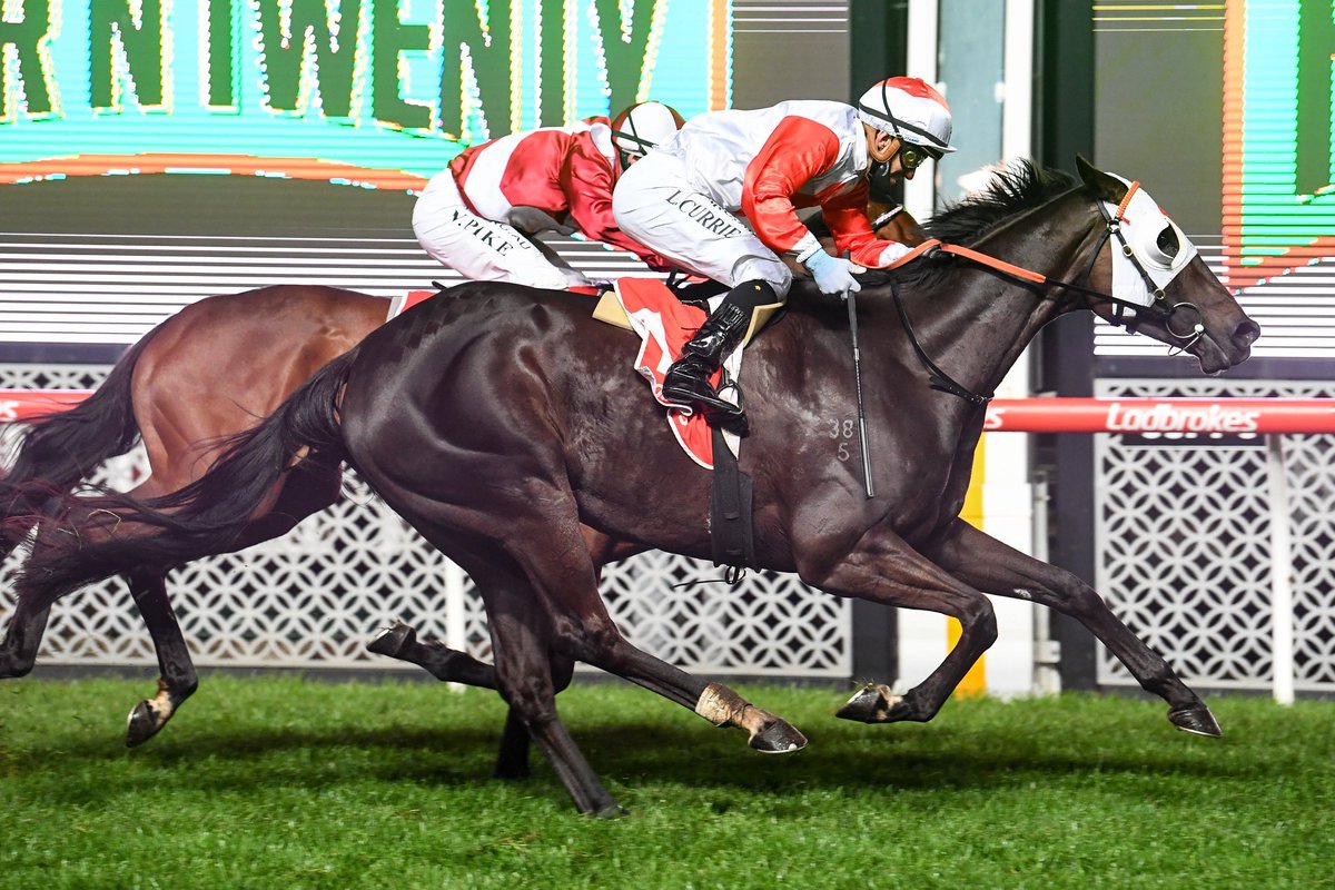 Here we go. Blamey Stakes day. You can do this!! 
Good Luck.😙