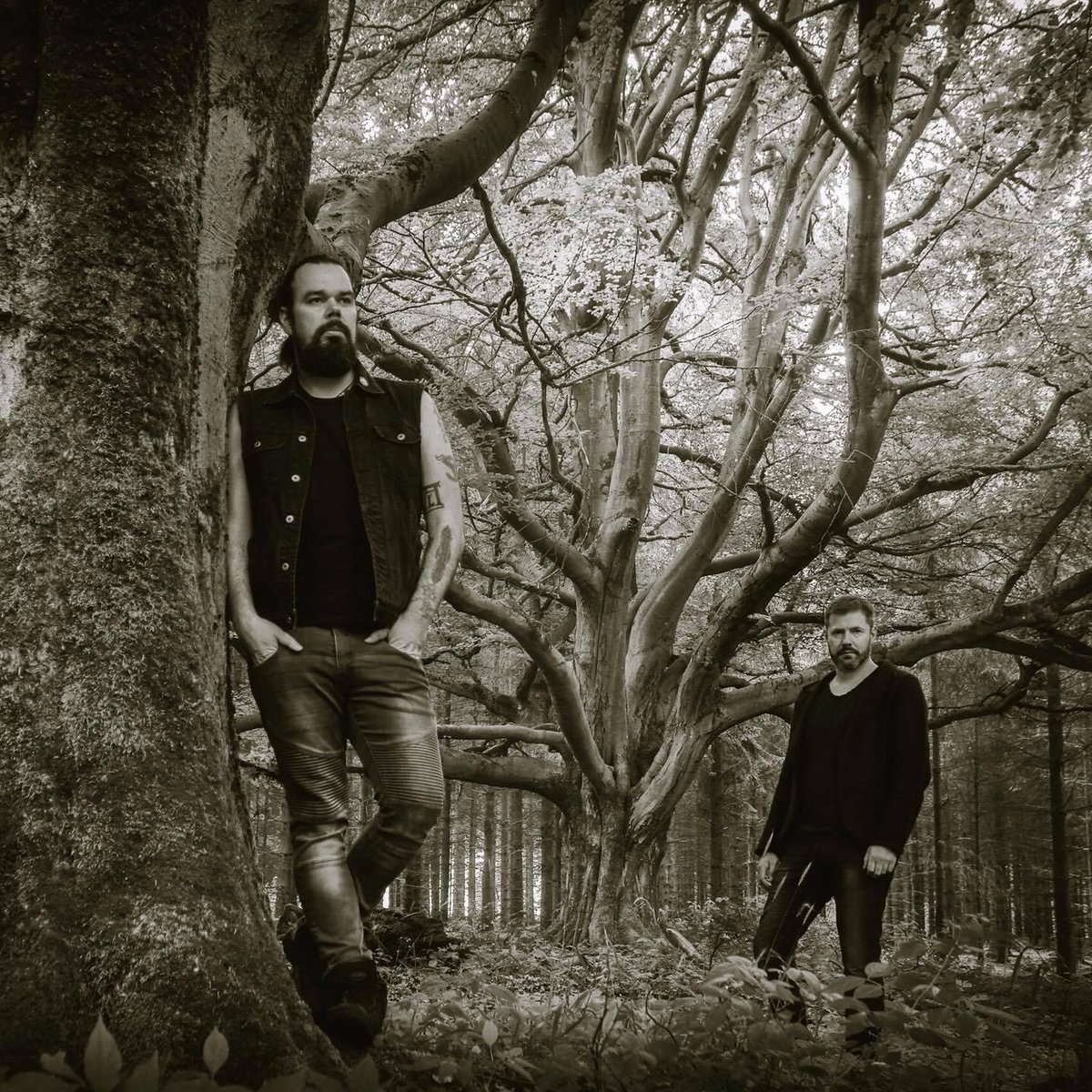 empyriumfans's tweet photo. We are excited! Today marks the release of “Über den Sternen”.  It was a long journey to this day and it’s great to read all the fantastic reactions to the album so far.  And of course we are happy to read what you think about the album.  So let us know your thoughts! https://t.co/GoGlVfTTaV