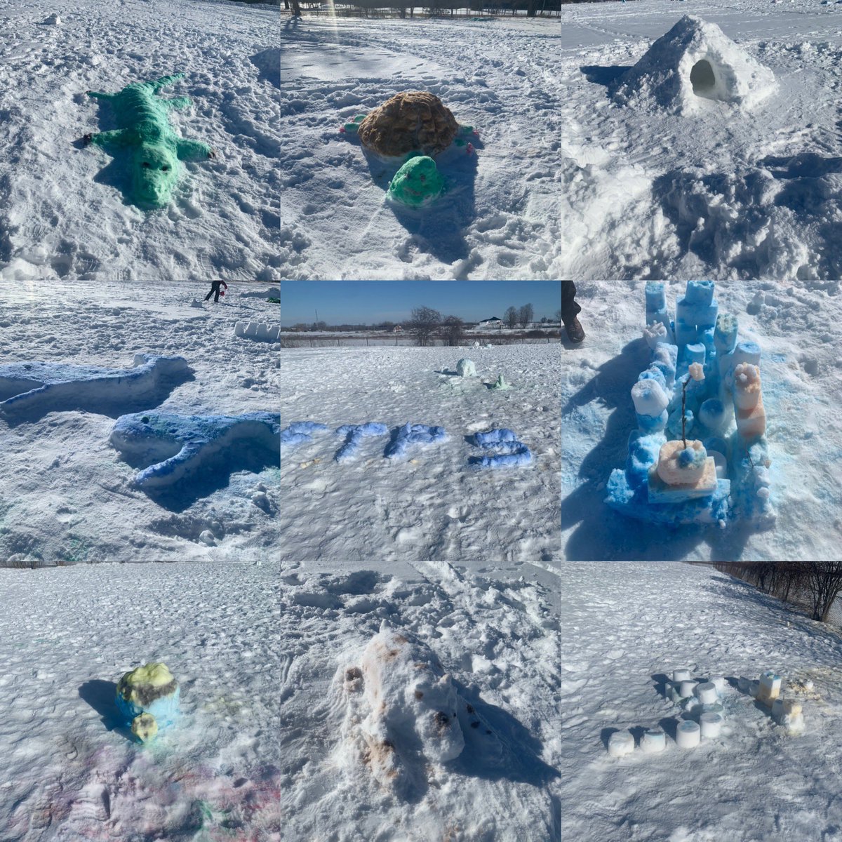 Fenelon Township PS tweet media