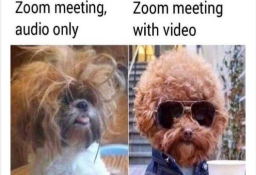 GccoworkingC's tweet photo. Une petite blague du travail à domicile.

A little work from home humour. https://t.co/fFElstLVCS