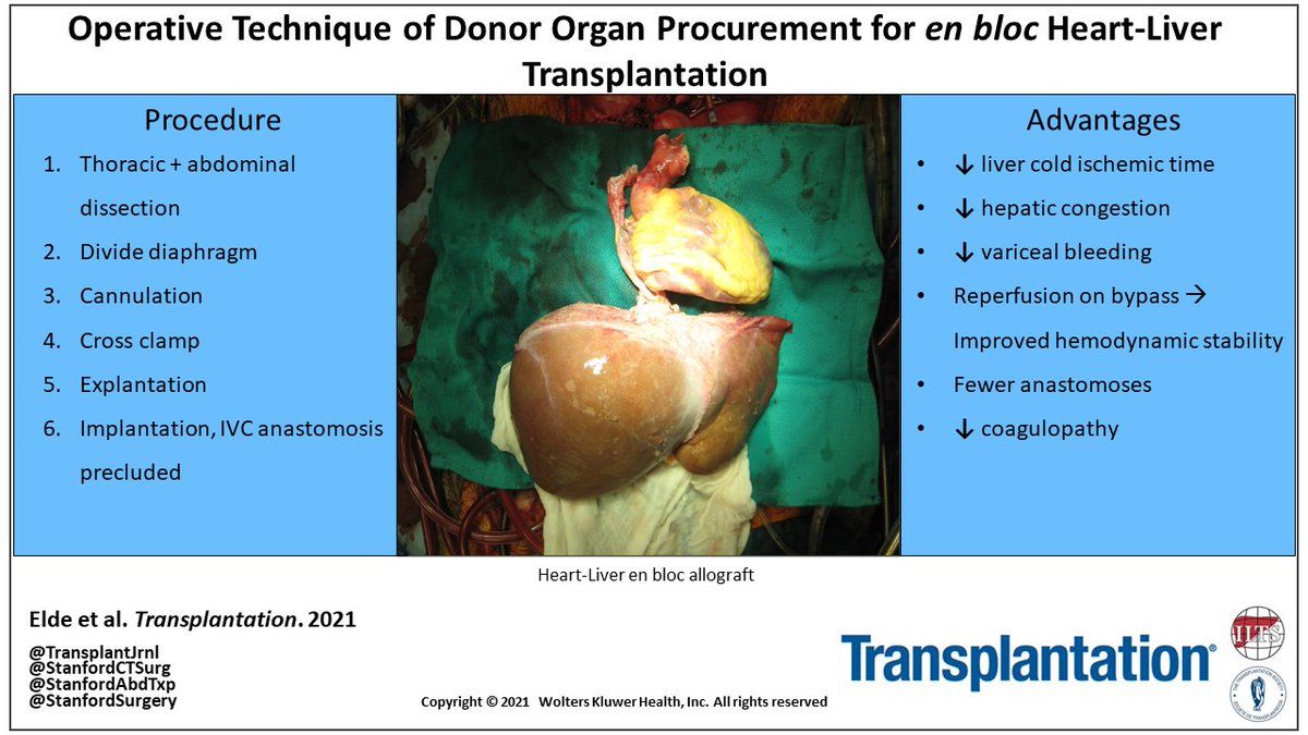 Stefan Elde, MD tweet media