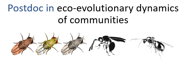 Jan Hrcek tweet media