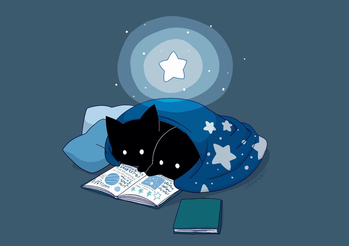 翔太郎 ホシクイ Shoutarotttt Twitter