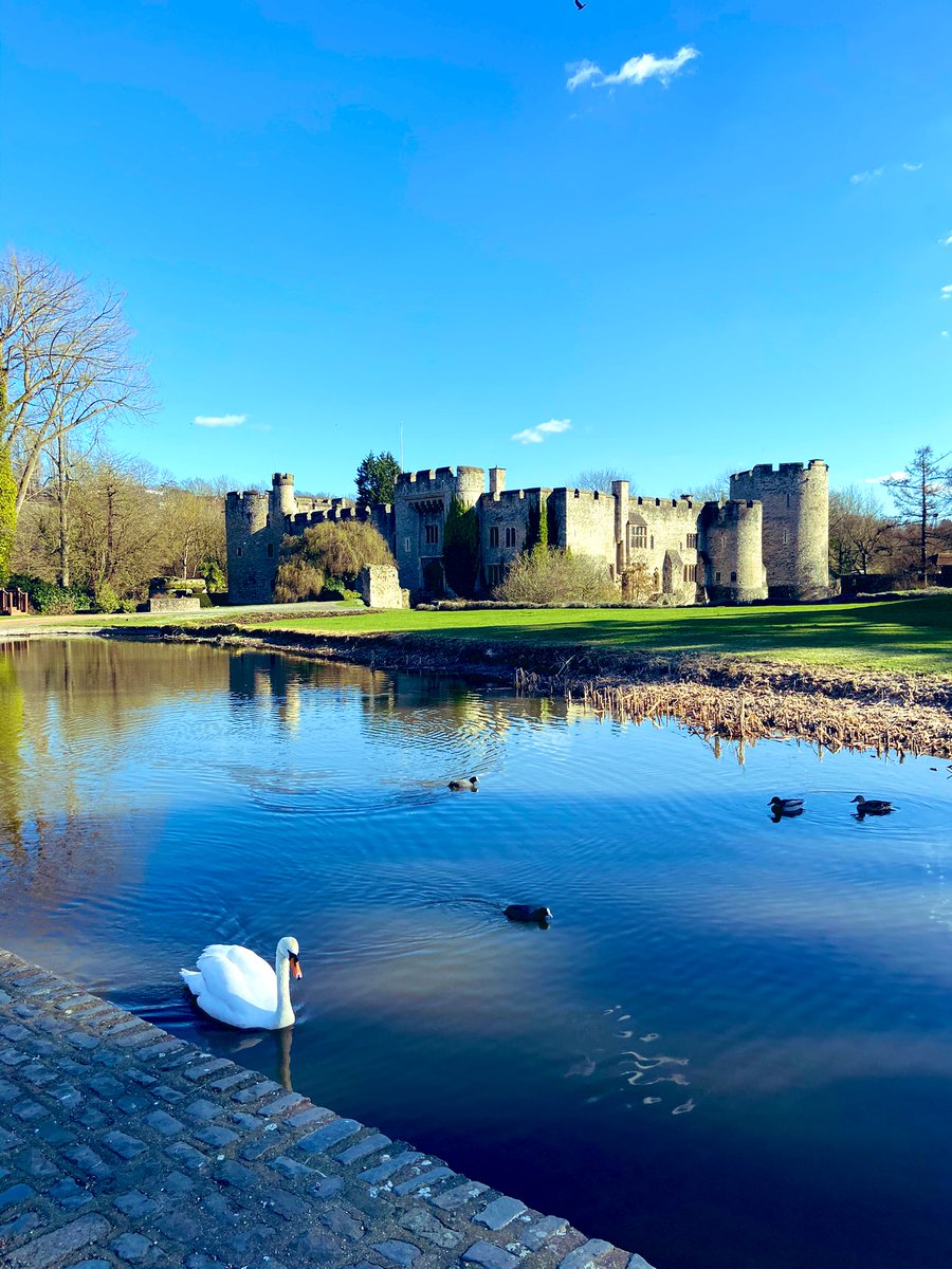AllingtonCstle's tweet photo. The first blooms of spring make our hearts sing! #SpringIsComing #AllingtonCastleEstate #FridayFeeling https://t.co/dVxKlqAgZZ