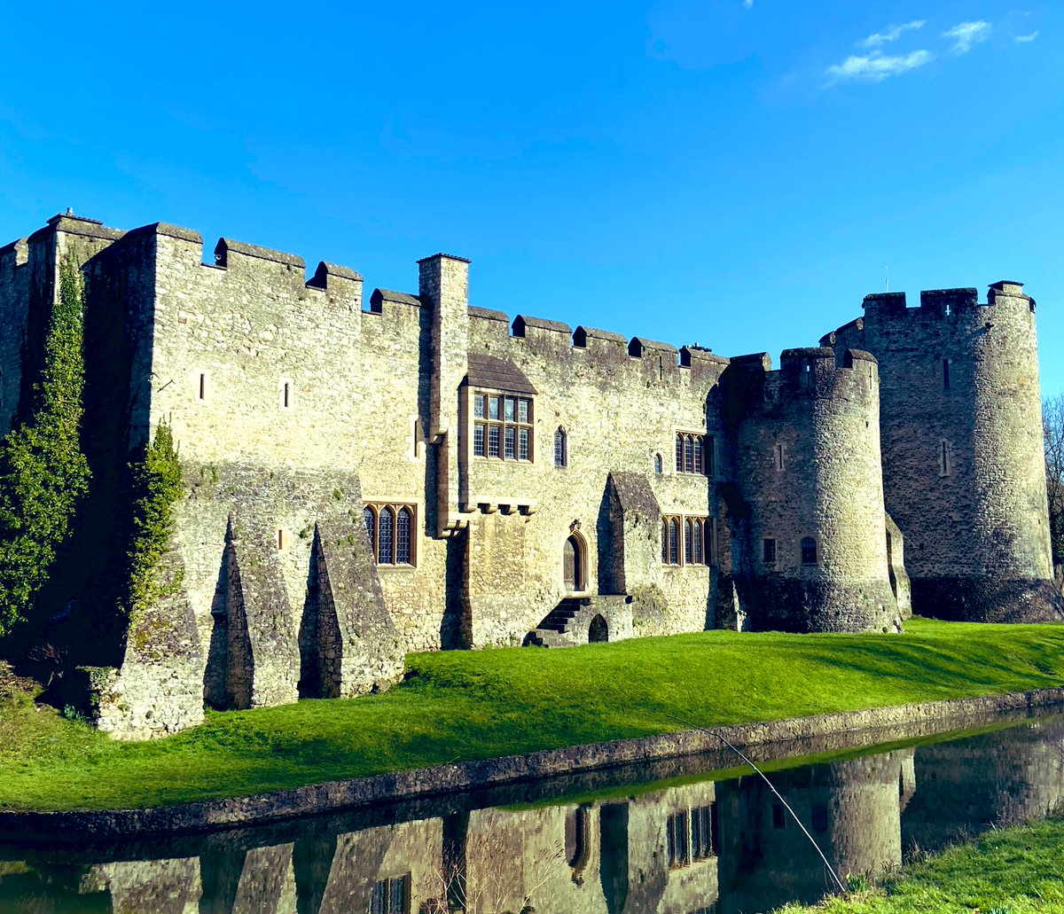 AllingtonCstle's tweet photo. The first blooms of spring make our hearts sing! #SpringIsComing #AllingtonCastleEstate #FridayFeeling https://t.co/dVxKlqAgZZ