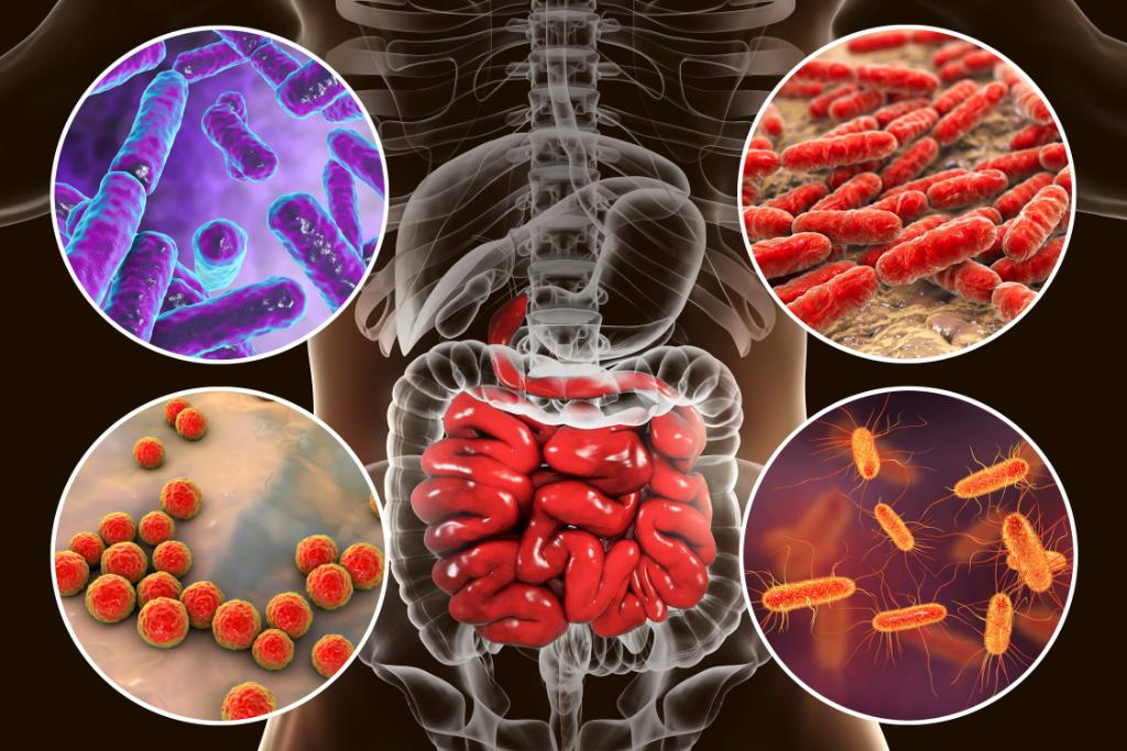 MayoClinicCIM's tweet image. What causes some people to develop chronic diseases while others stay healthy? A major clue could be found in their microbiome. Mayo researchers have developed a Gut Microbiome Health Index that distinguishes a healthy microbiome from one that is diseased. mayocl.in/3oMF7bI