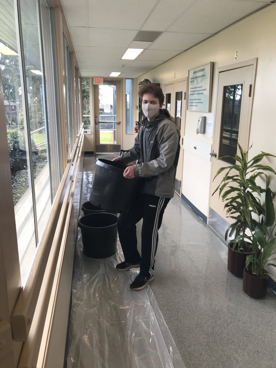 Gardening part two! We are getting ready to plant potatoes 🥔🥔🥔🥔! #westvaned