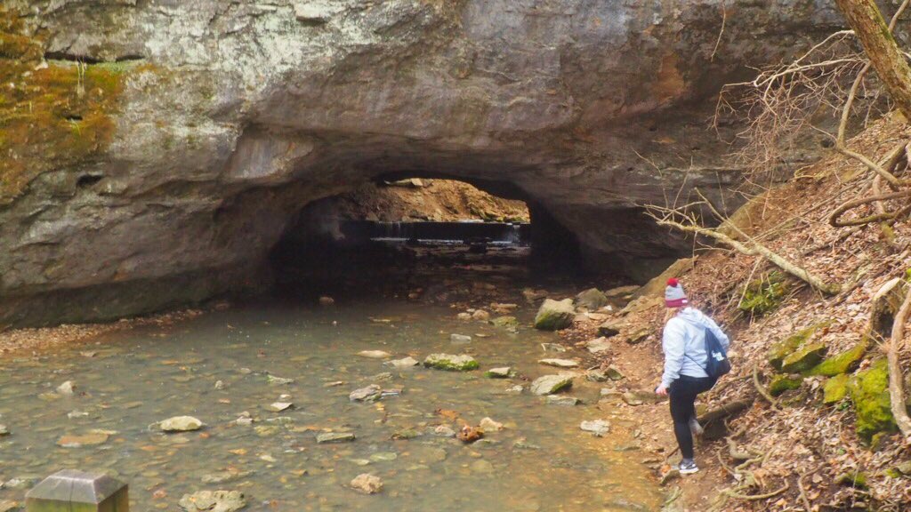 ozarkscott's tweet photo. Hiked in Columbia, MO at Devil’s Icebox. Cool place, will definitely be back. #hiking #columbiamo https://t.co/nELUejNViA
