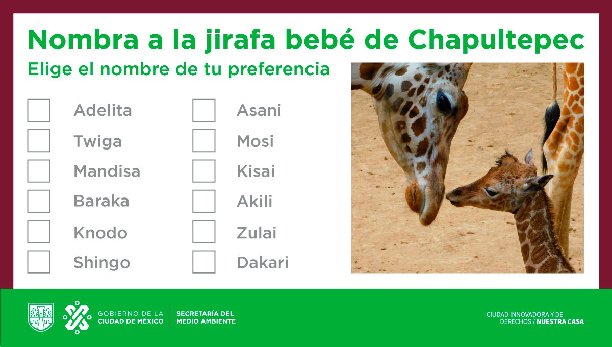 Secretaría del Medio Ambiente tweet media