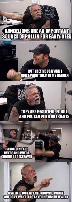 beckarooobanzai's tweet photo. Today’s giggle. 🌼
Hadn’t seen this one before. https://t.co/WLlS6BUrpL