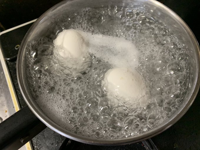 たまごゆでゆで 