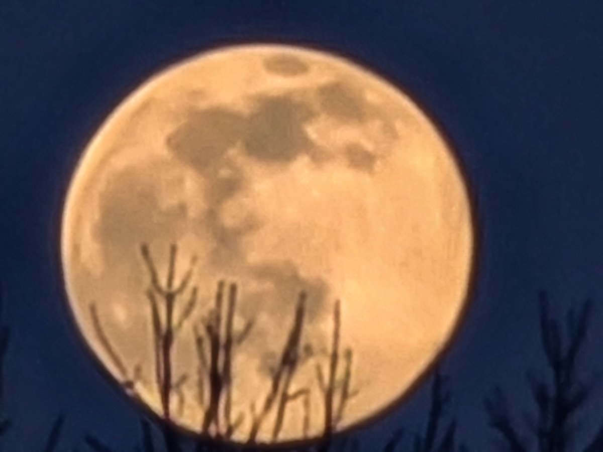 Snow Moon 2021
#fullmoon #samsungs20ultra5g #brandonmb #cellphone