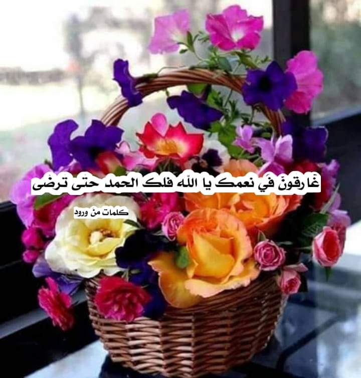 .
.وإذا الصباحُ أتىٰ عليك فقل لهُ
حمدًا لربي فالقِ الإصباحِ .⁦🌤️⁩~

نشر الضياء بفضلهِ وبجودهِ
وأسال نبع النورِ في الأرواحِ😍..~ 
.🌸.