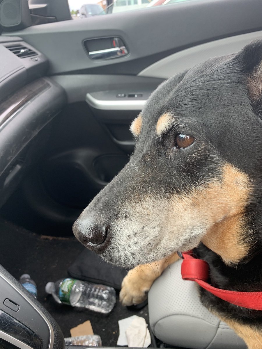 Graveytrainwoowoo tweet media