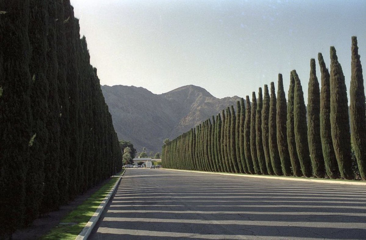 La Quinta Hotel Golf & Tennis Club, 1992. In 1993 it is renamed La Quinta Resort & Club, and at this time had only 269 guest rooms. Today there are 785 casitas, suites, and villas. PC: @mparisinou #throwbackthursday #laquintaresort