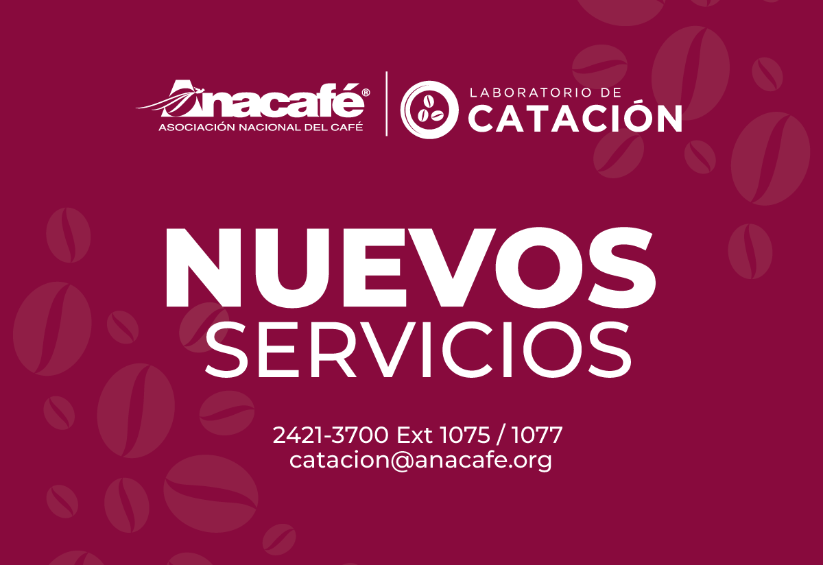 CafedeGuatemala's tweet image. Conozca los nuevos servicios de nuestro Laboratorio de Catación ☕️ Más información y contacto:

✅ bit.ly/catacion
☎️ 2421-3700 ext. 1075 / 1077
📧 catacion@anacafe.org

#CafédeGuatemala #Catación