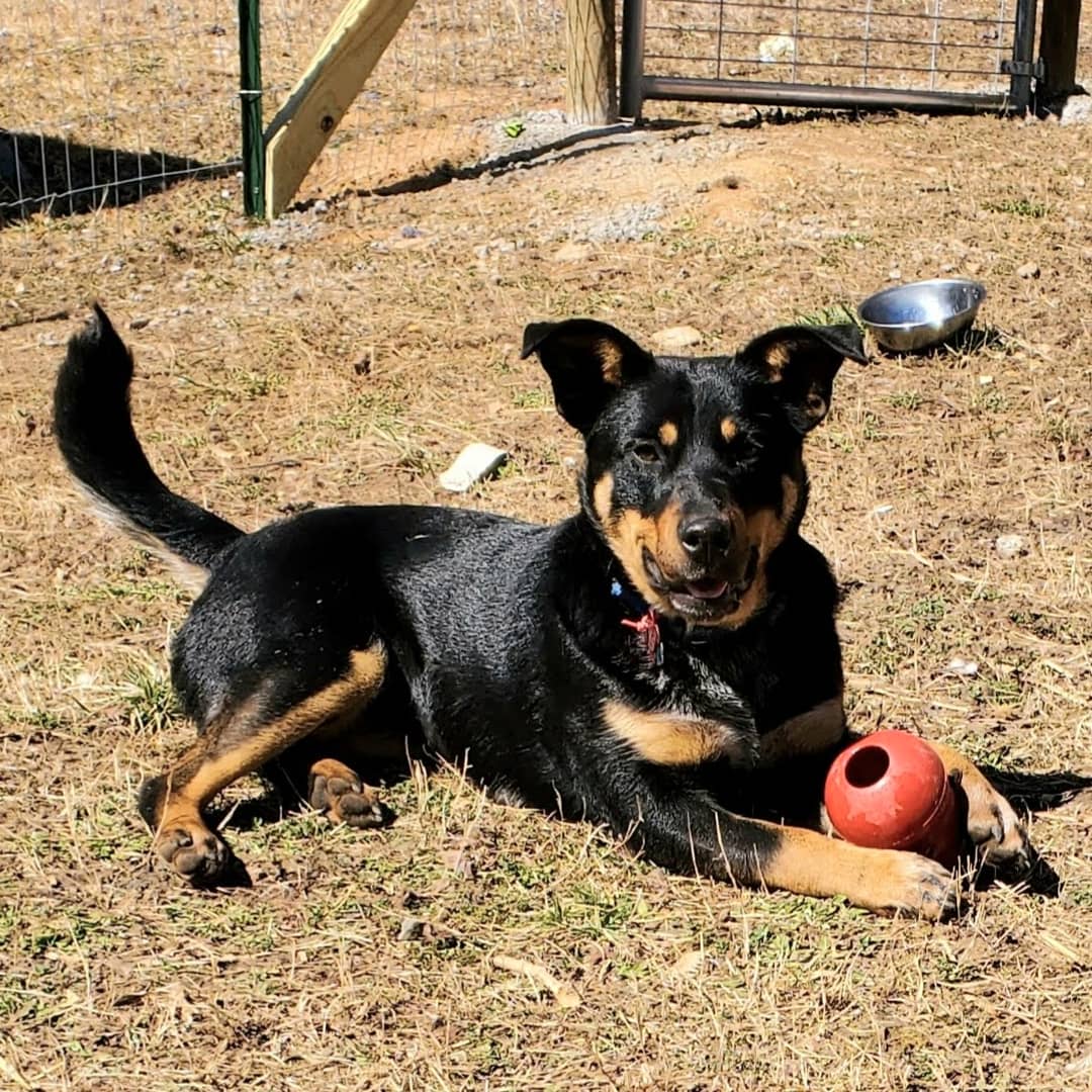 FreedomForFido's tweet photo. https://t.co/si09zbHGPW