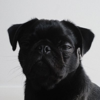 Bernard tweet media