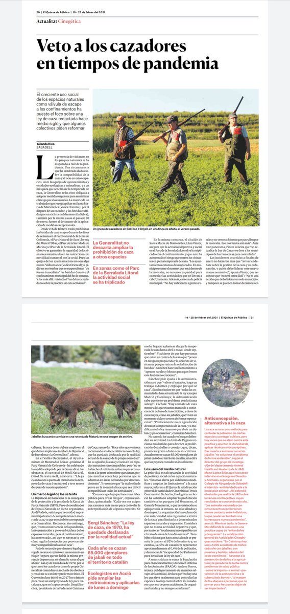 yolrico's tweet photo. Veto a los cazadores en tiempos de pandemia. Reportaje para El Quinze de Público. @FAADAorg @dretanimalICAT @icasbd @INTERcids https://t.co/kjZ238jvJP