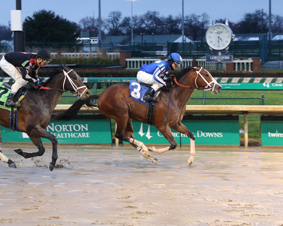 WarrendaleSales's tweet photo. Good luck to Mailman Money who is entered in the Razorback Handicap (Gr. 3) at @OaklawnRacing! This son of Goldencents was bred by @TK_Stables and sold at the @FasigTiptonCo October Yearling Sale. Good luck to trainer Bret Calhoun and connections! 

#warrendalesold #fasiggrad https://t.co/9sntdQM1QC