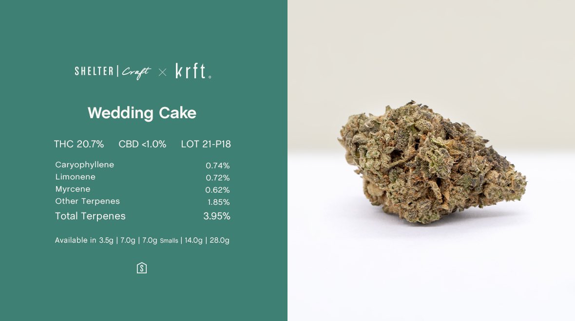 .@KRFTCannabis Wedding Cake is an award-winning cultivar known for its trichome-rich buds and noticeably sweet aroma and flavour. With an impressive 3.95% terpenes high caryophyllene, limonene, myrcene, farnesene and linalool and 20.7% THC.
👉 From Shelter Craft